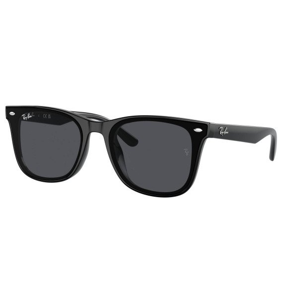 Lunettes de Soleil Ray-Ban RB4420 601/87 BLACK-65/18