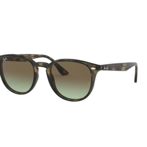 Lunettes de Soleil Ray-Ban RB4259 731/E8 GREY HAVANA-51/20