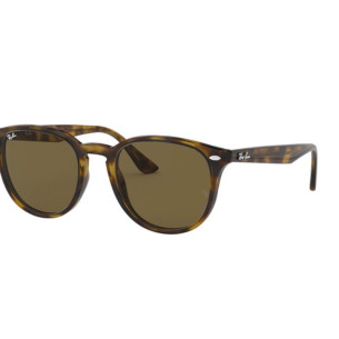 Lunettes de Soleil Ray-Ban RB4259 710/73 LIGHT HAVANA-51/20