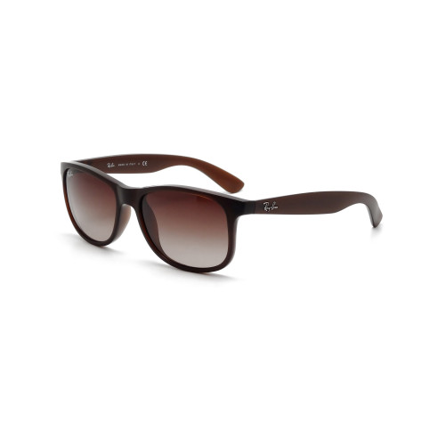 Lunettes de Soleil Ray-Ban RB4202 607313 MATTE BROWN ON BROWN-55/17