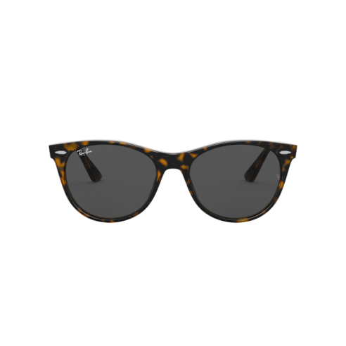 Lunettes de Soleil Ray-Ban RB2185 WAYFARER ii...