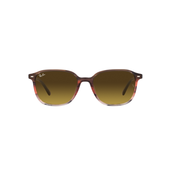 Lunettes de Soleil Ray-Ban RB2193 LEONARD 138085 STRIPED BROWN GRADIENT RED-53/18