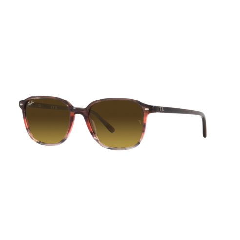 Lunettes de Soleil Ray-Ban RB2193 138085 STRIPED BROWN GRADIENT RED-53/18