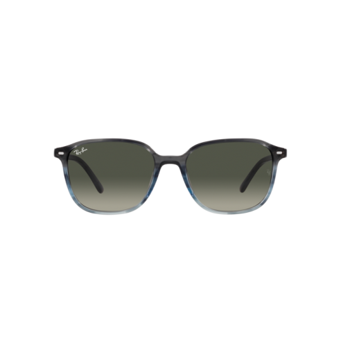 Lunettes de Soleil Ray-Ban RB2193 LEONARD...