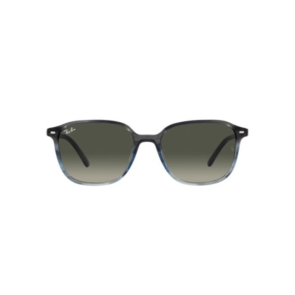 Lunettes de Soleil Ray-Ban RB2193 LEONARD 138171 STRIPED GRAY GRADIENT BLUE-53/18