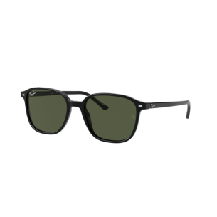 Lunettes de Soleil Ray-Ban RB2193 LEONARD 901/31 BLACK-53/18