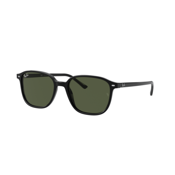 Lunettes de Soleil Ray-Ban RB2193 LEONARD 901/31 BLACK-53/18