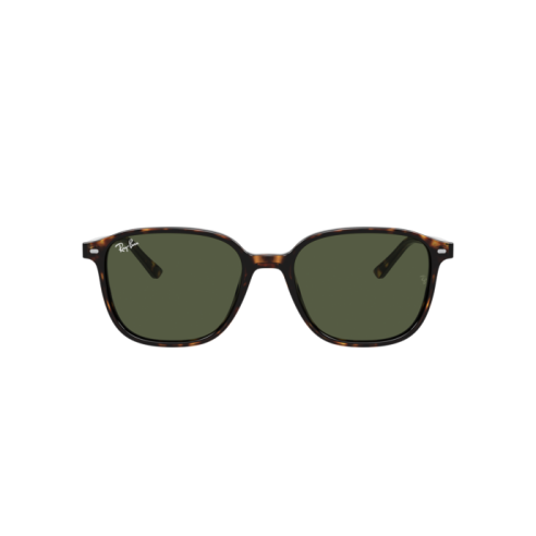 Lunettes de Soleil Ray-Ban RB2193 LEONARD...