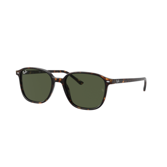 Lunettes de Soleil Ray-Ban RB2193 LEONARD 902/31 TORTOISE-53/18