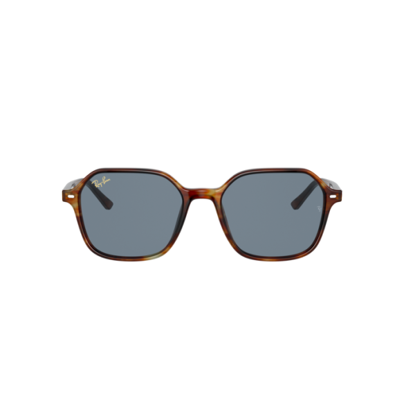 Lunettes de Soleil Ray-Ban RB2194 JOHN 954/62 STRIPED HAVANA-51/18