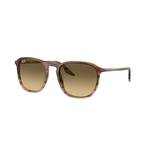 Lunettes de Soleil Ray-Ban RB2203 13920A STRIPED BROWN GRADIENT GREEN-52/20